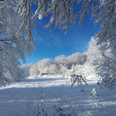 Plitvička Jezera Plitvice Green Apartment מראה חיצוני תמונה