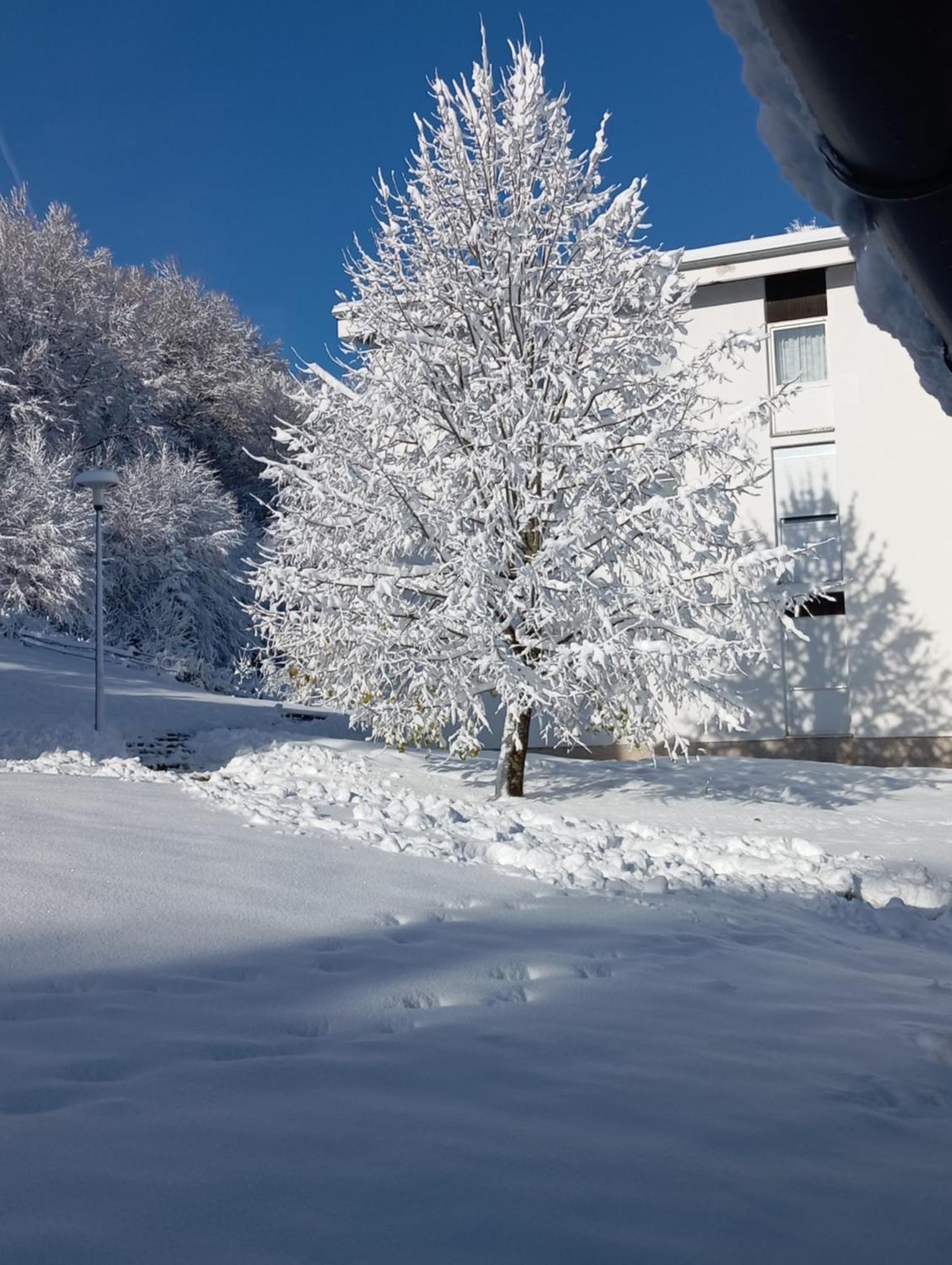 Plitvička Jezera Plitvice Green Apartment מראה חיצוני תמונה